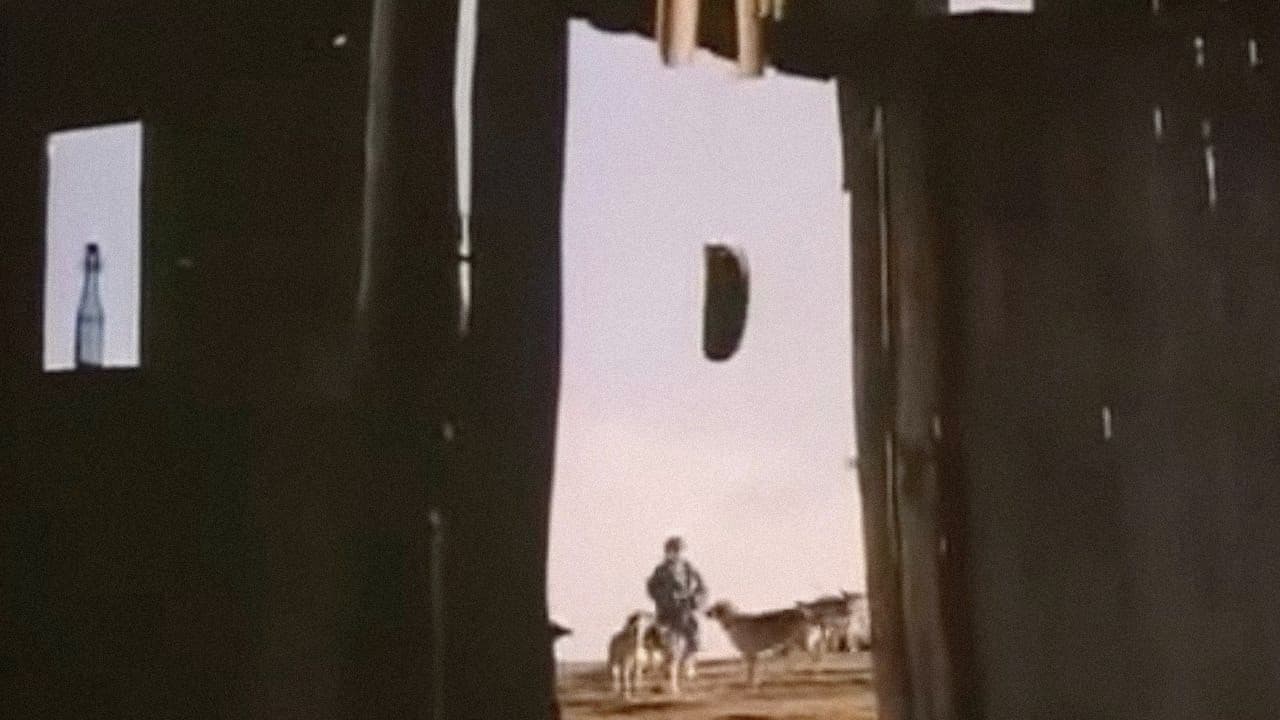 Разговор с птици