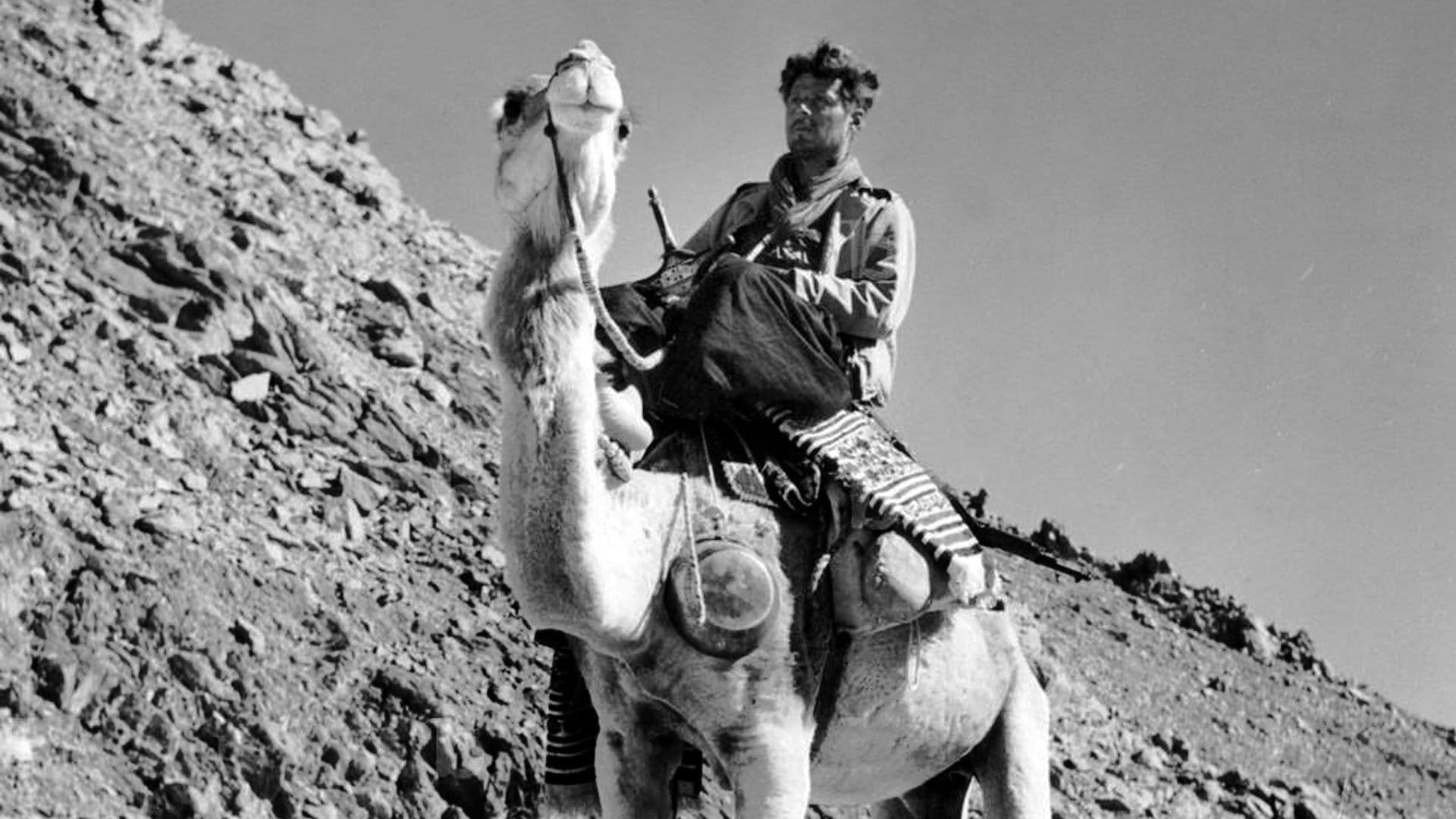 La Piste Frison-Roche