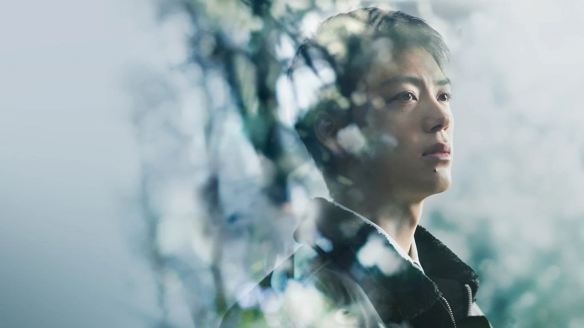 再会～Silent Truth～