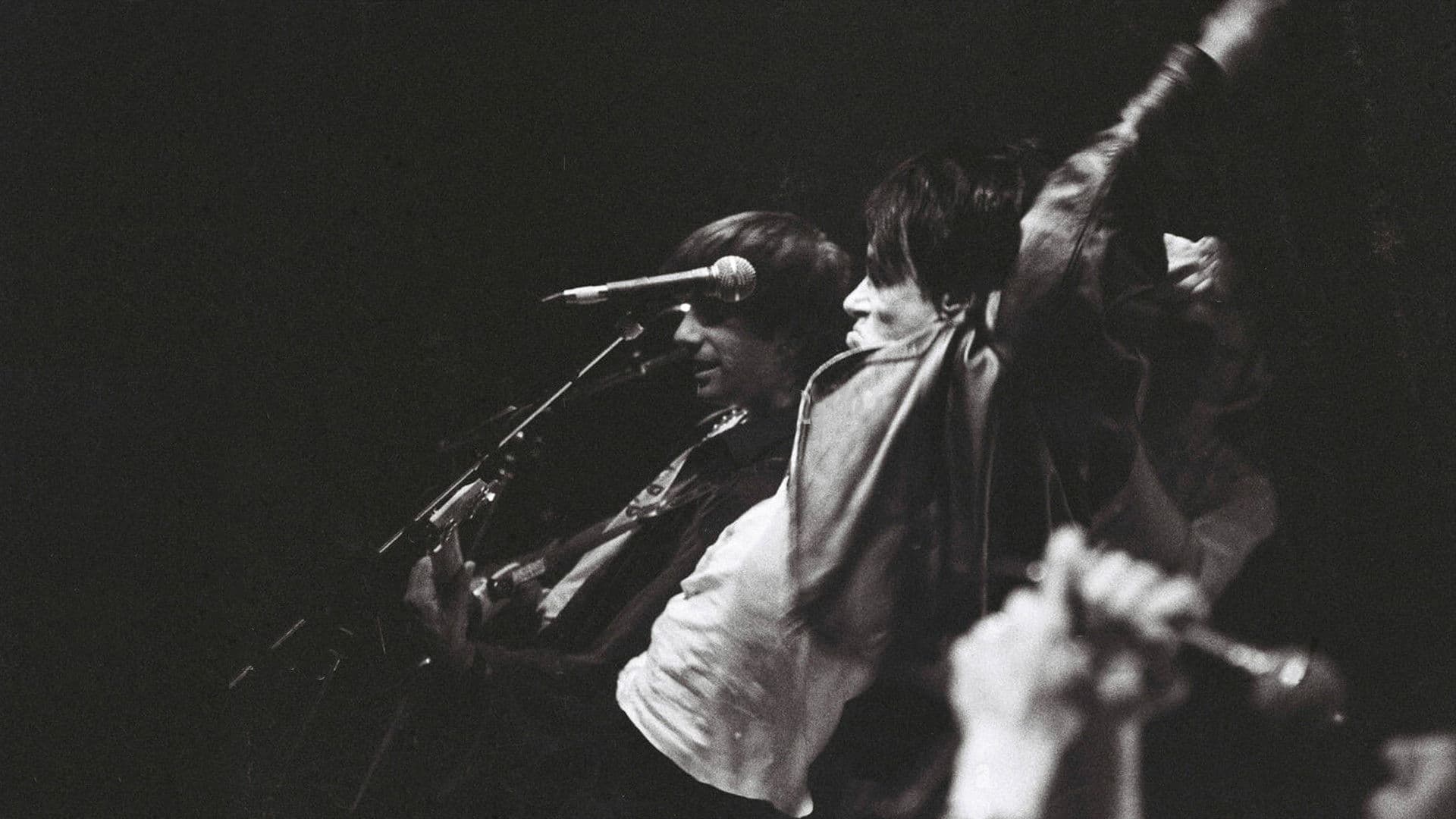 Sonic Youth: Screaming Fields of Sonic Love