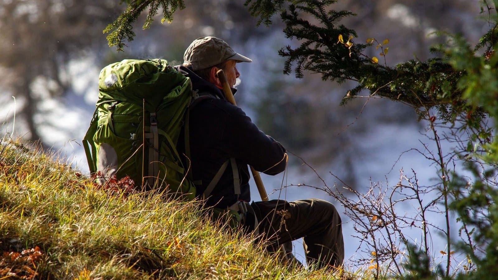 Vivre avec les loups