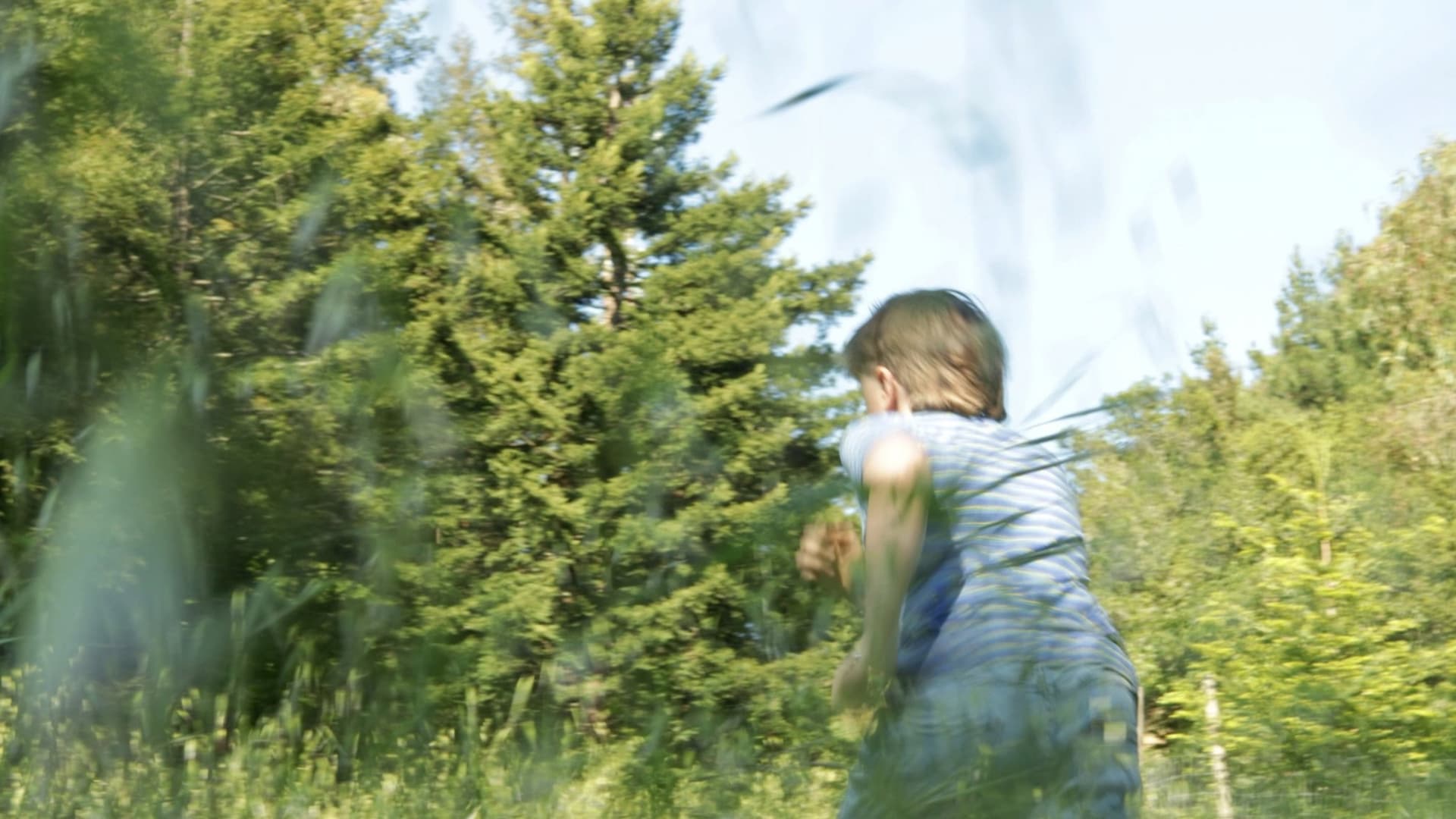 Underbrush