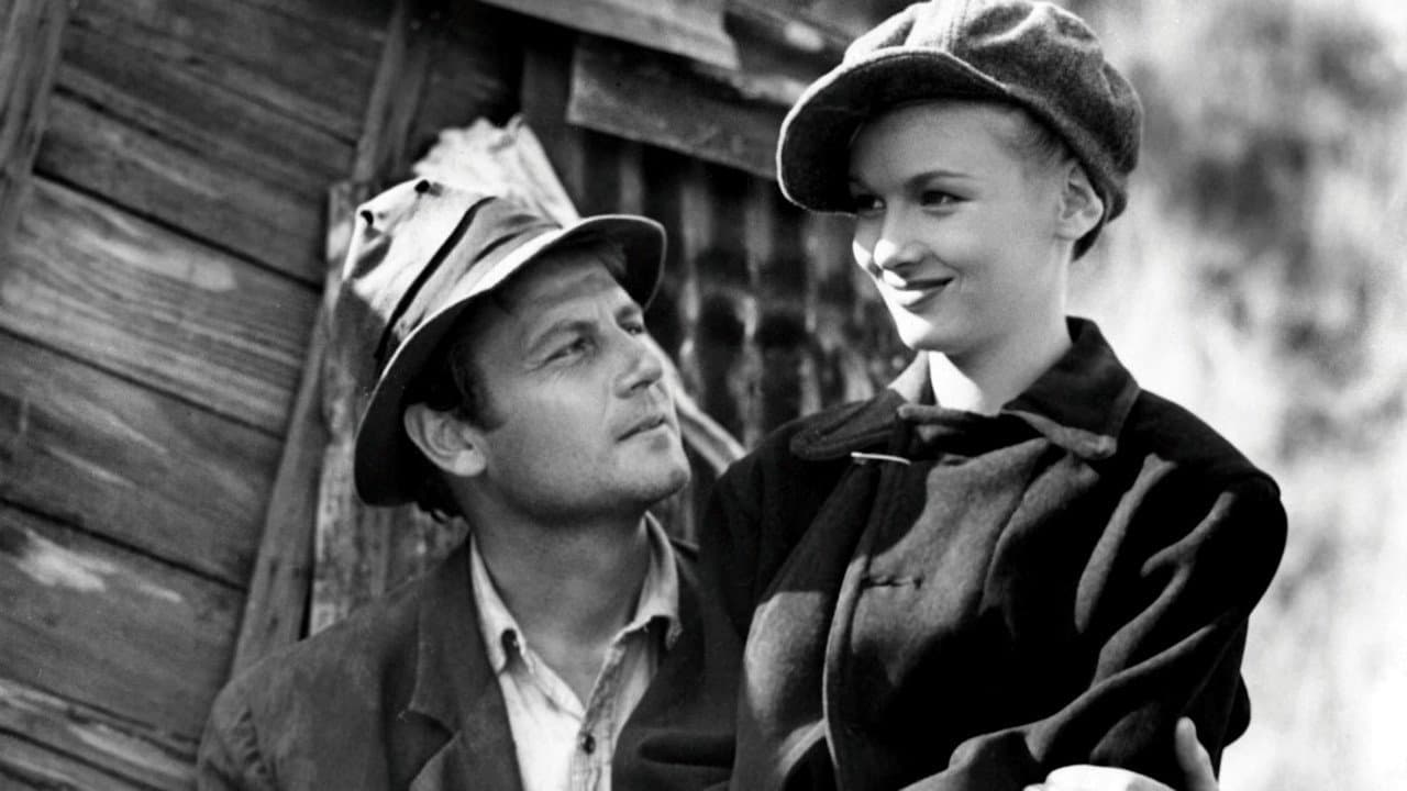 Călătoriile lui Sullivan