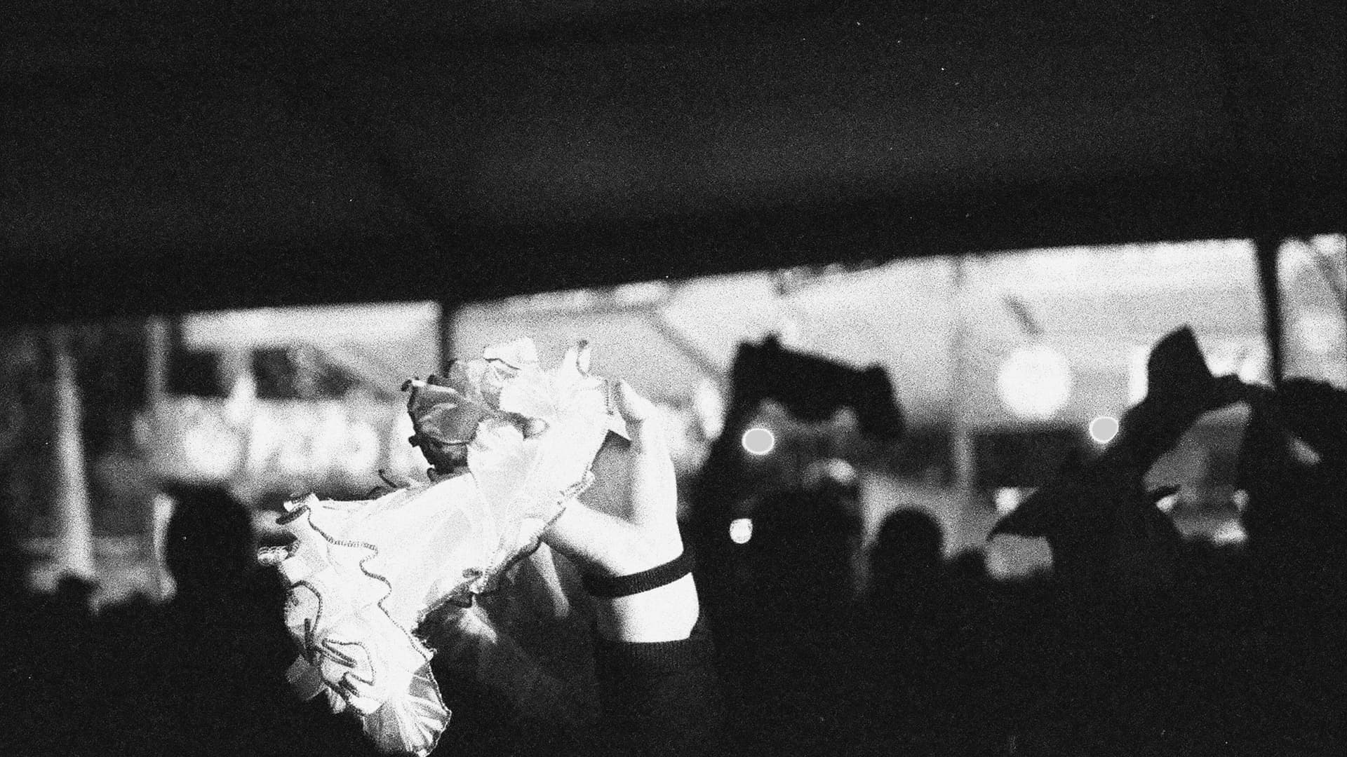 Festejos en el Parque O'Higgins