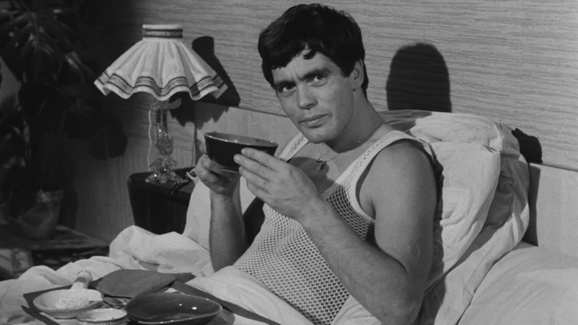 Du mouron pour les petits oiseaux