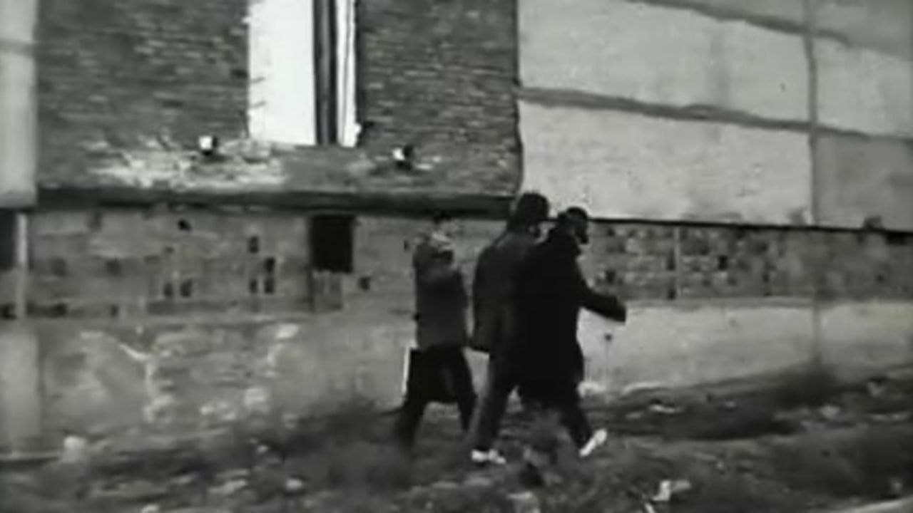 Провинциальная жизнь