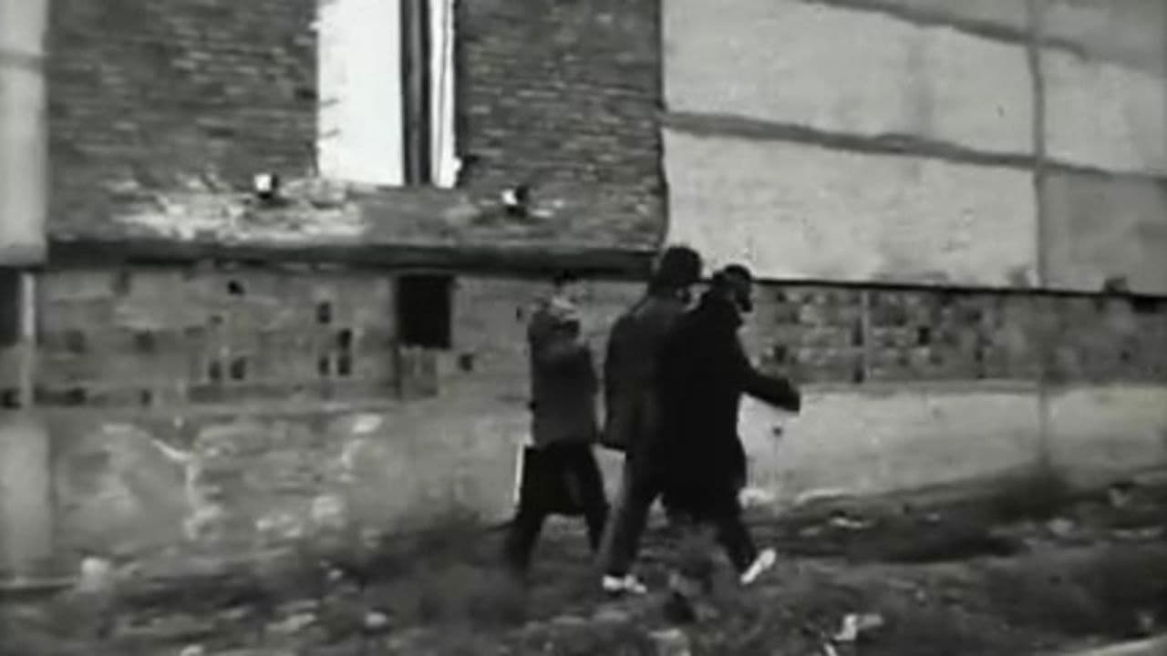 Провинциальная жизнь