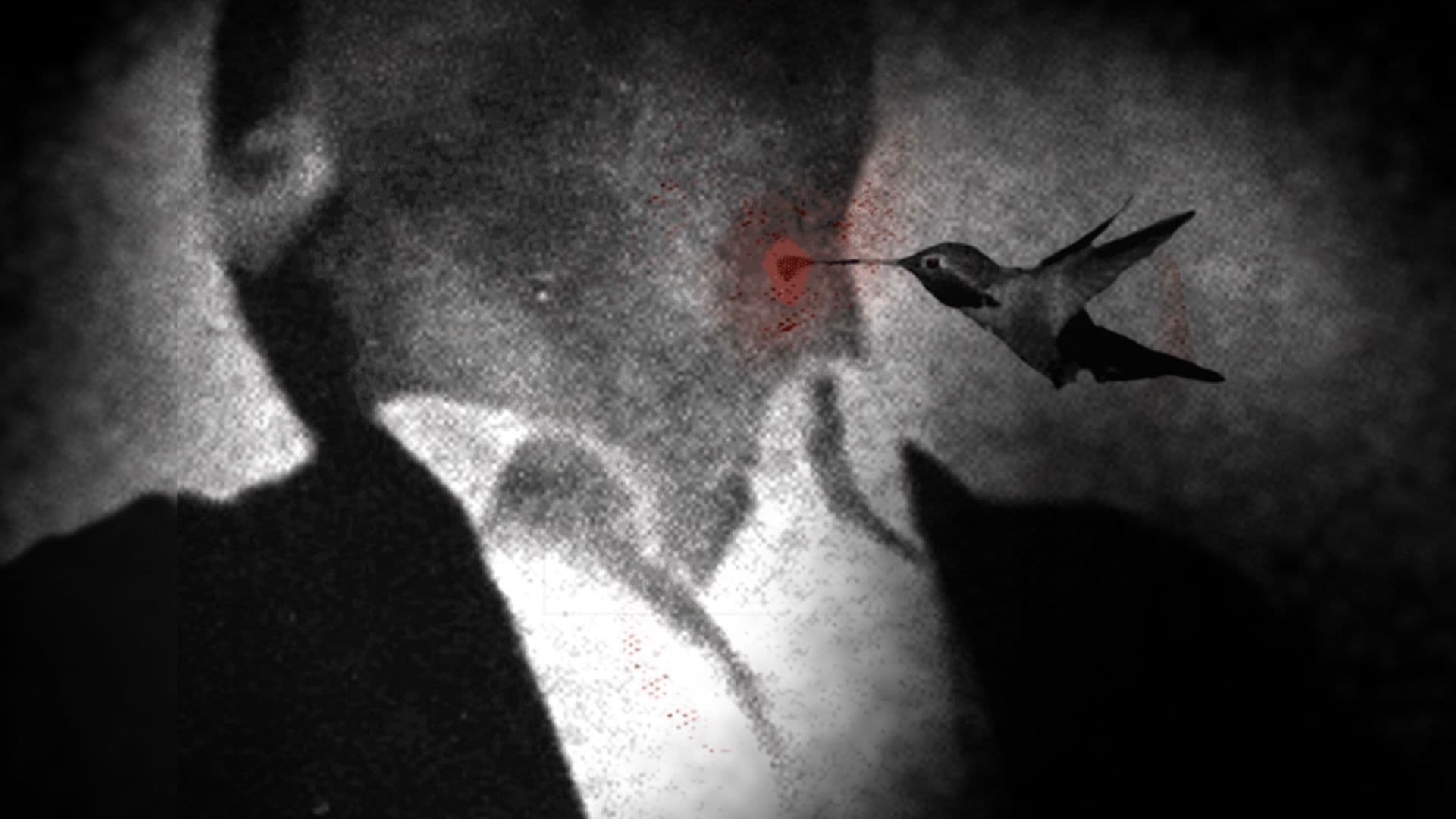 Creo que dije «sí»