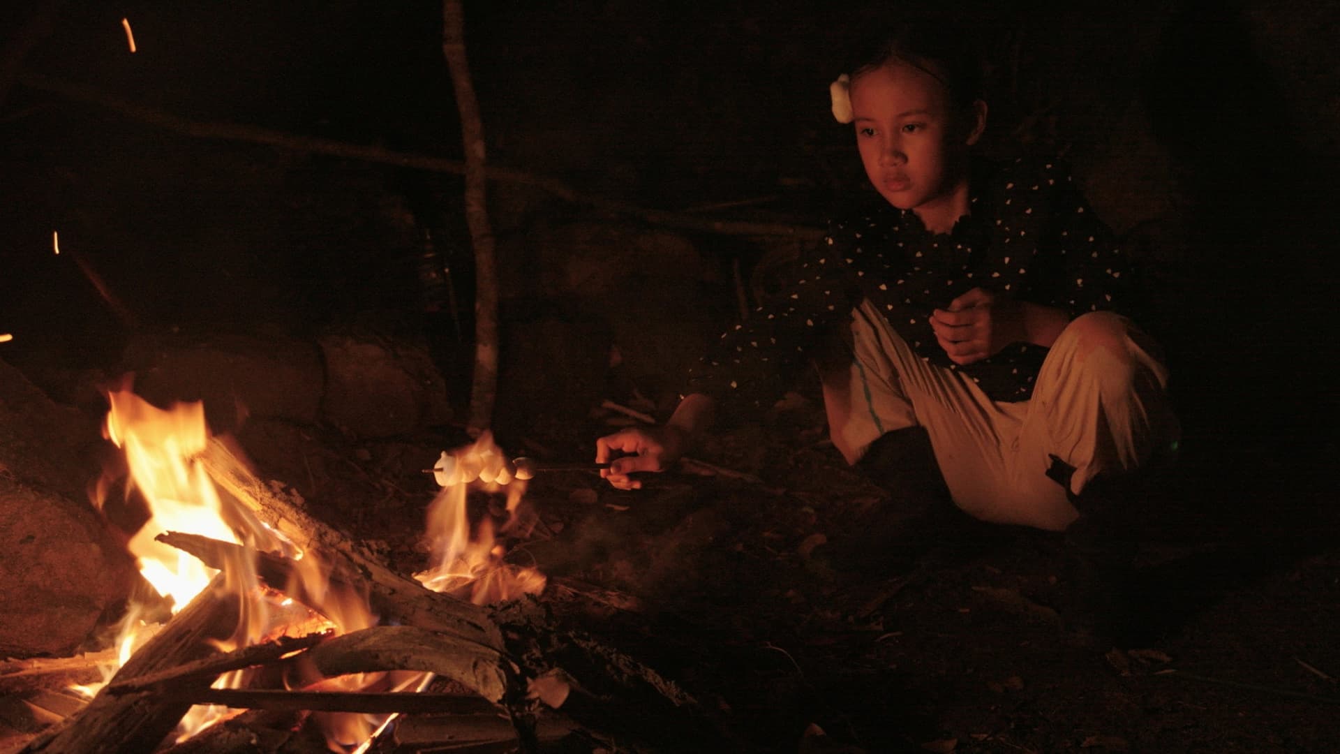 ㄟ跟你說個祕密：斑馬與她的森林