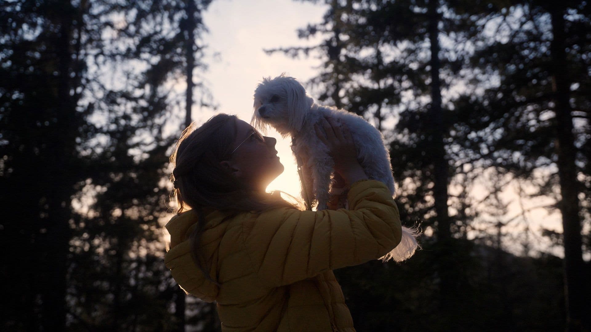 Salto, Pus & bucketlisten