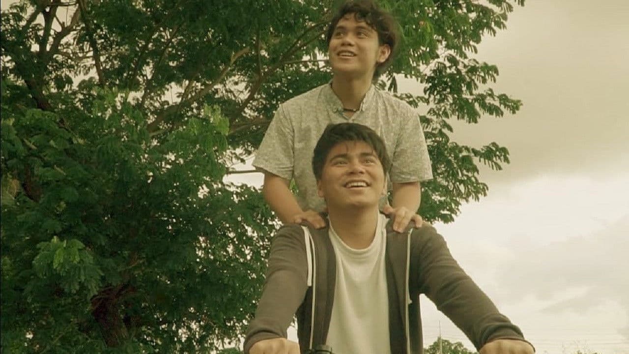 We Were Never Really Strangers