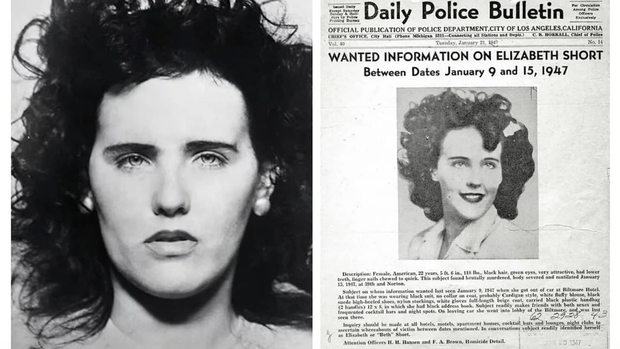 Black Dahlia Confidential