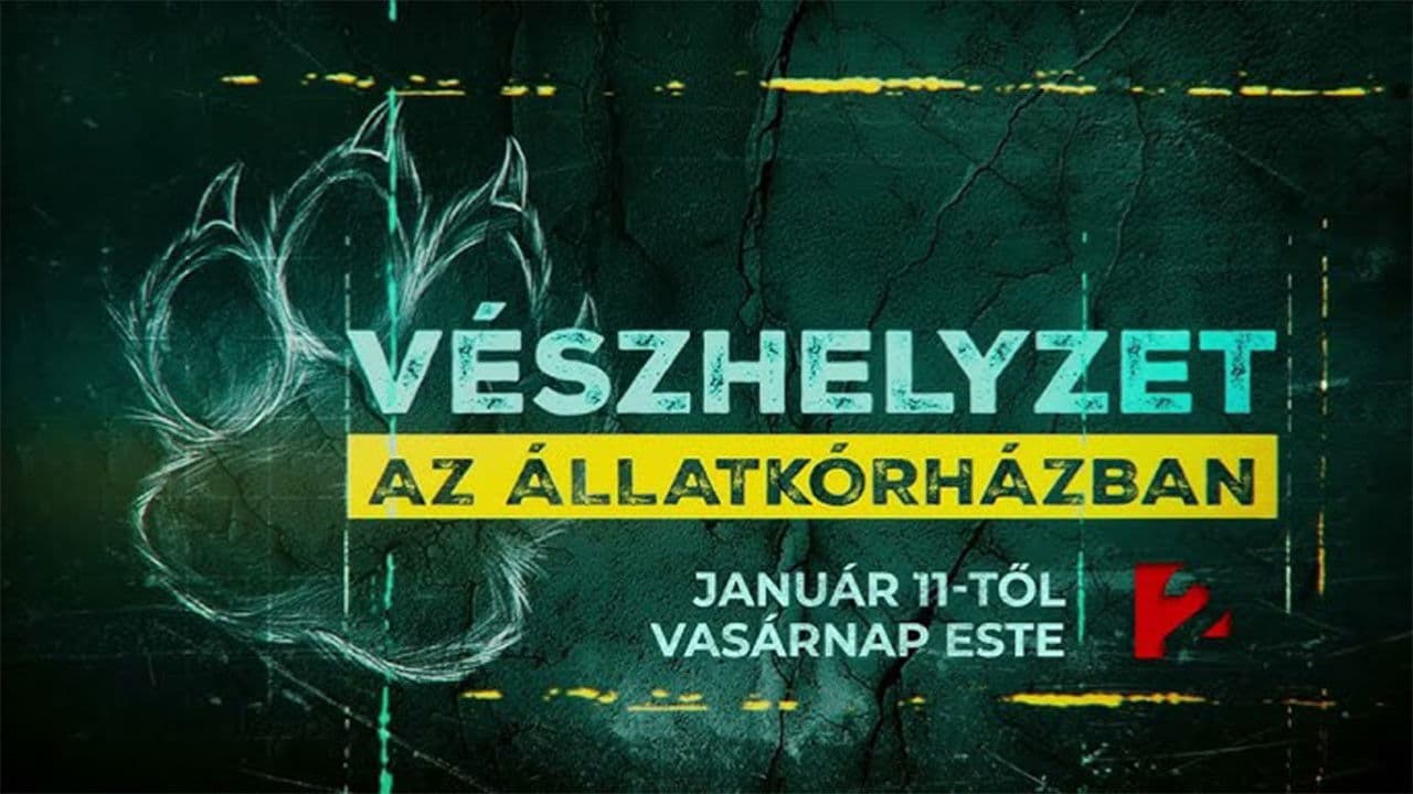 Vészhelyzet az állatkórházban
