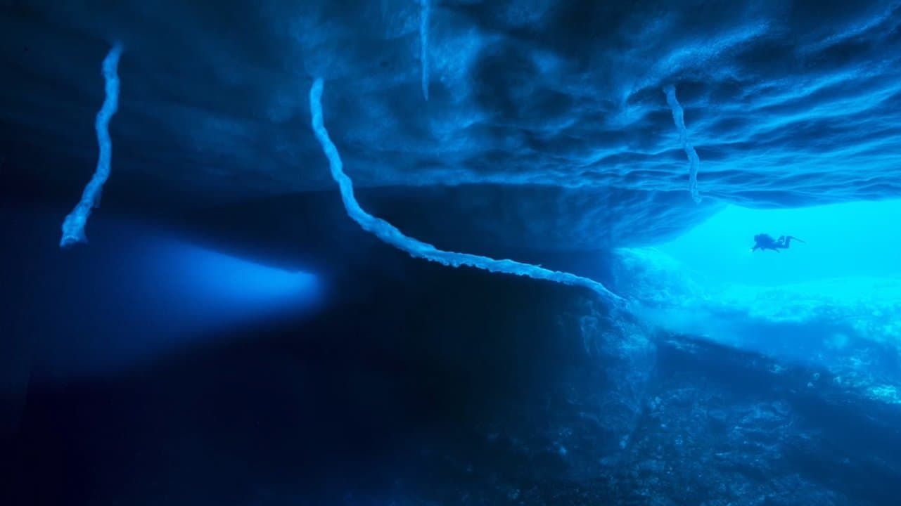 Antarctica, sur les traces de l'empereur