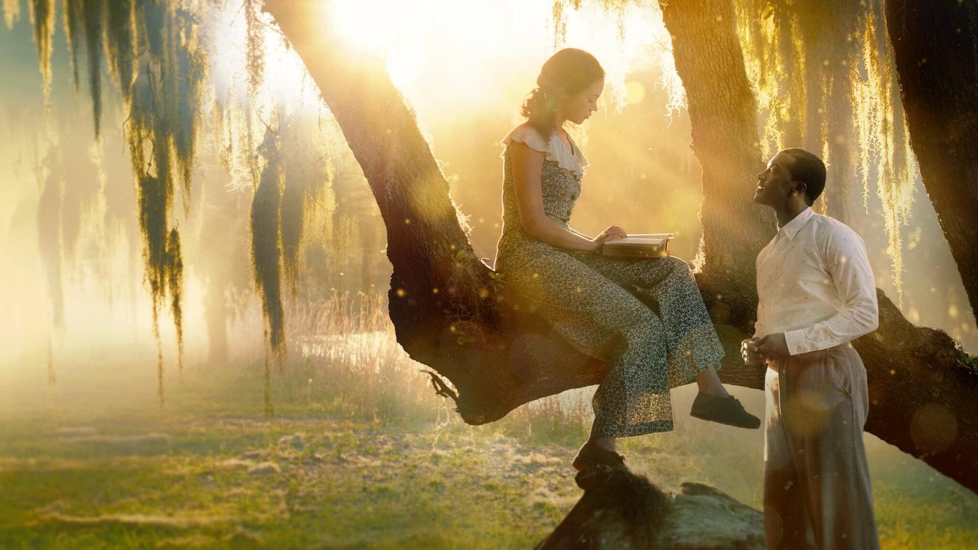 Melancolia unui jazzist