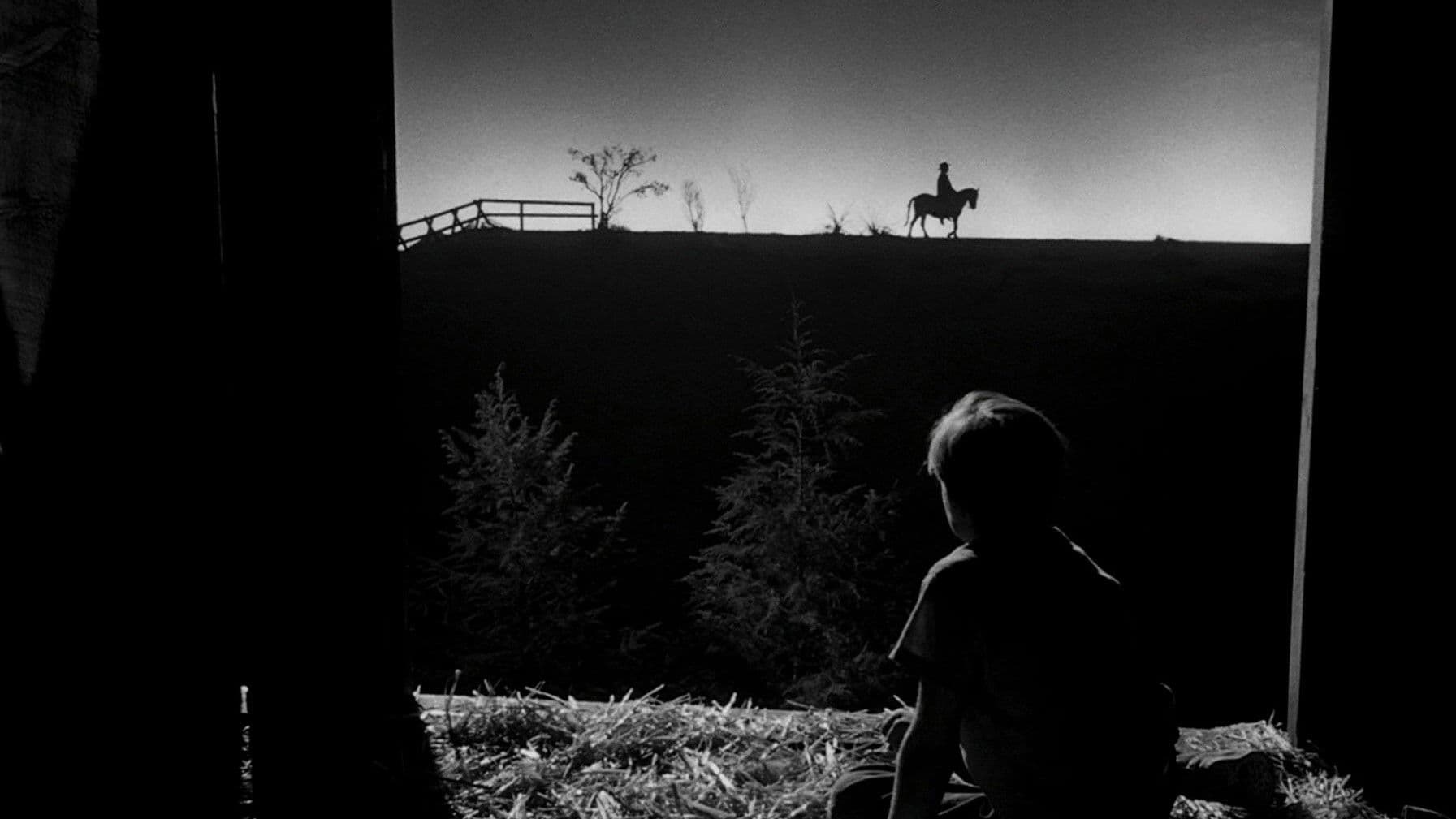 Noaptea vânătorului