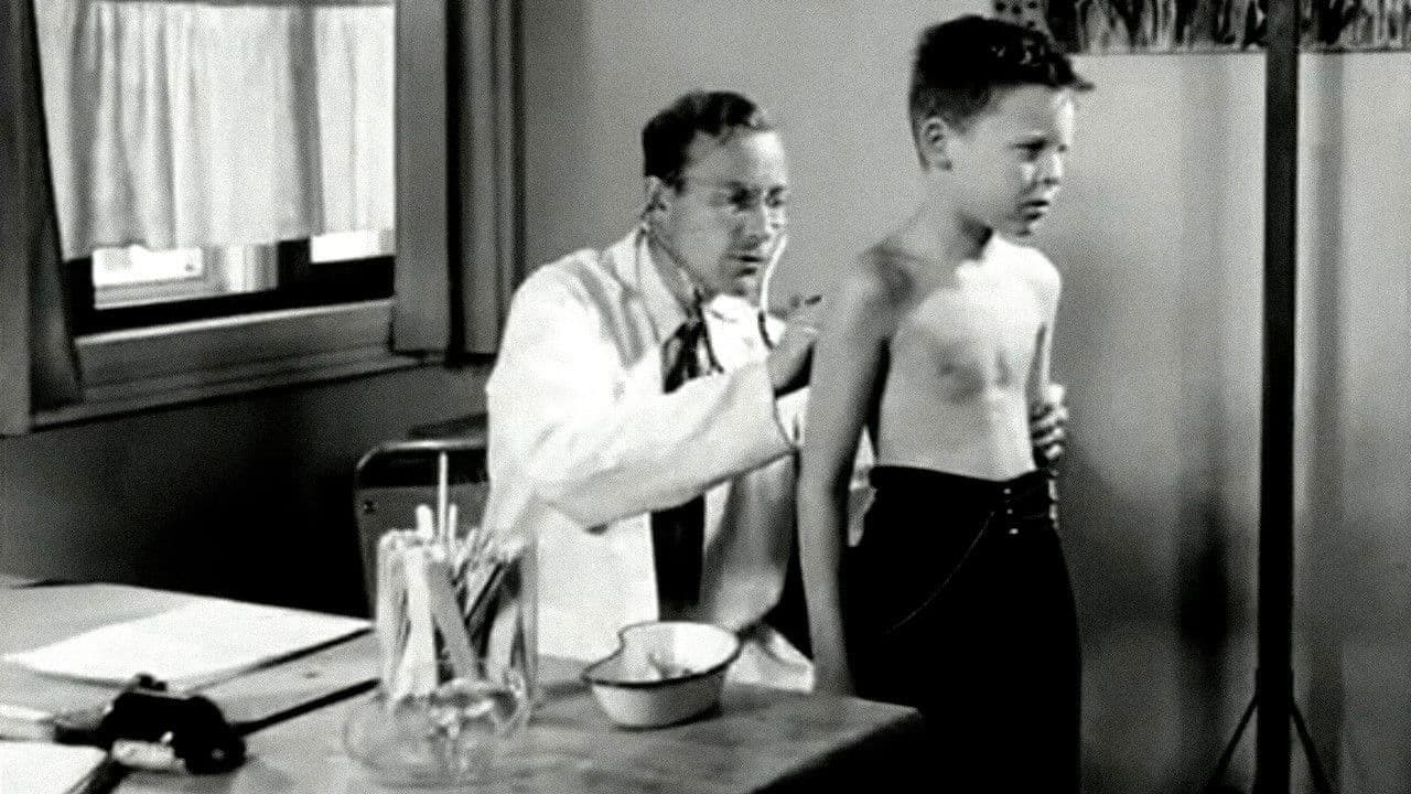 Oslofilm: Sommerparadiset