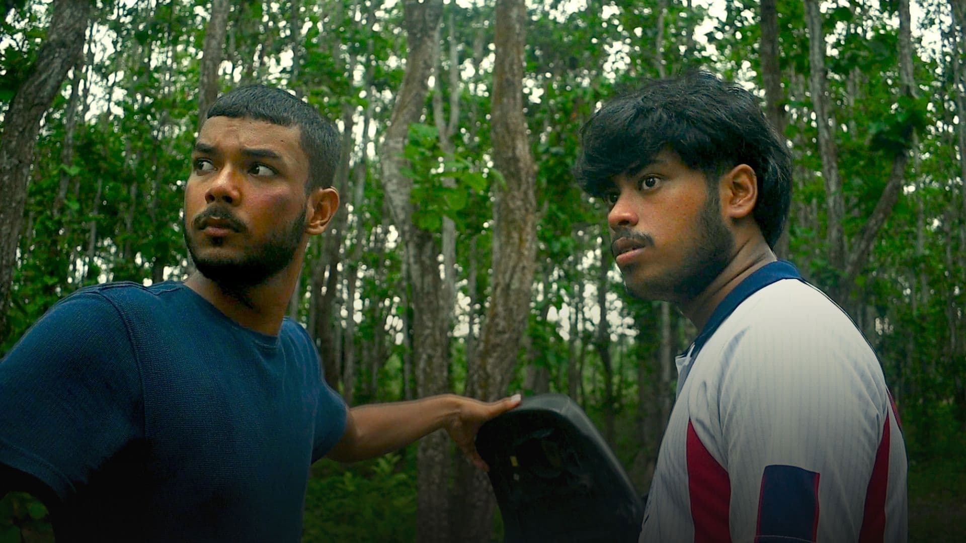 Haioi Lily Toie Mure Kolija Khali