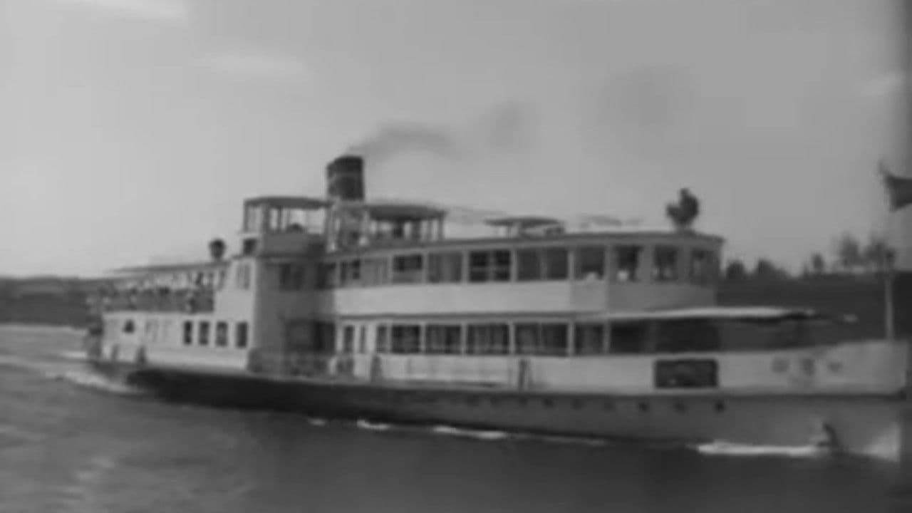 Новости дня №30