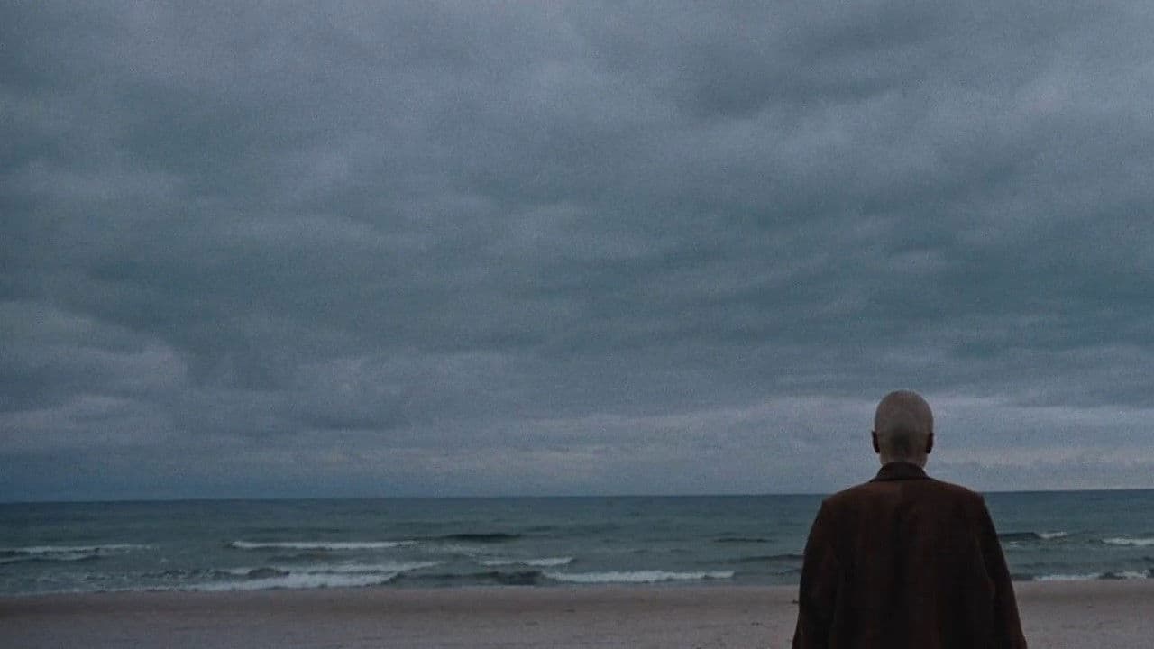 Pierwsze lato końca świata