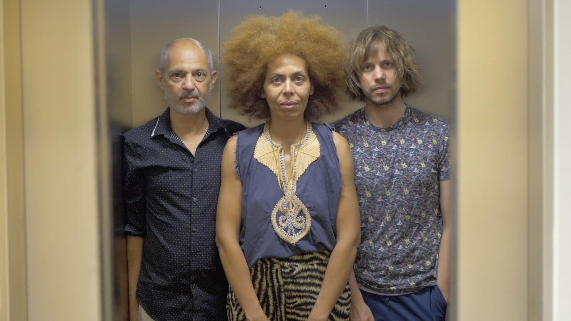 The Trees Were Spelling Love Backwards