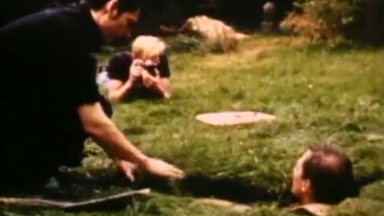 The Making of 'Nekromantik 2'