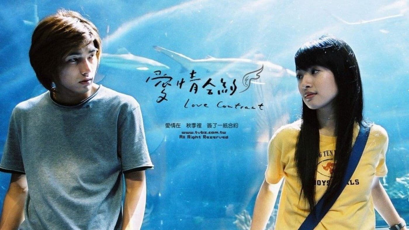愛情合約