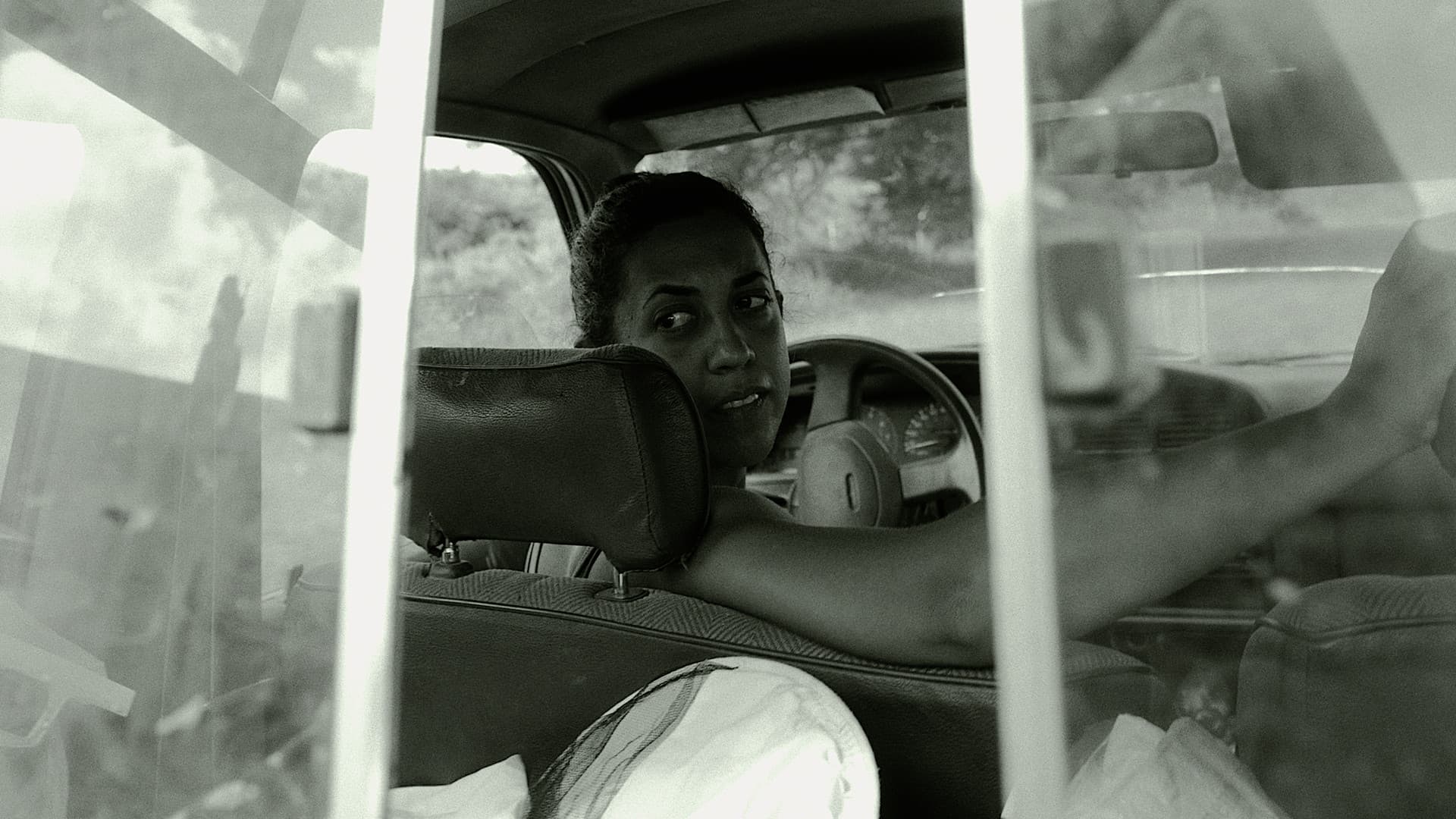 La Abeja - Una Reflexión Sobre Mujeres, Tierra, y Ocupación