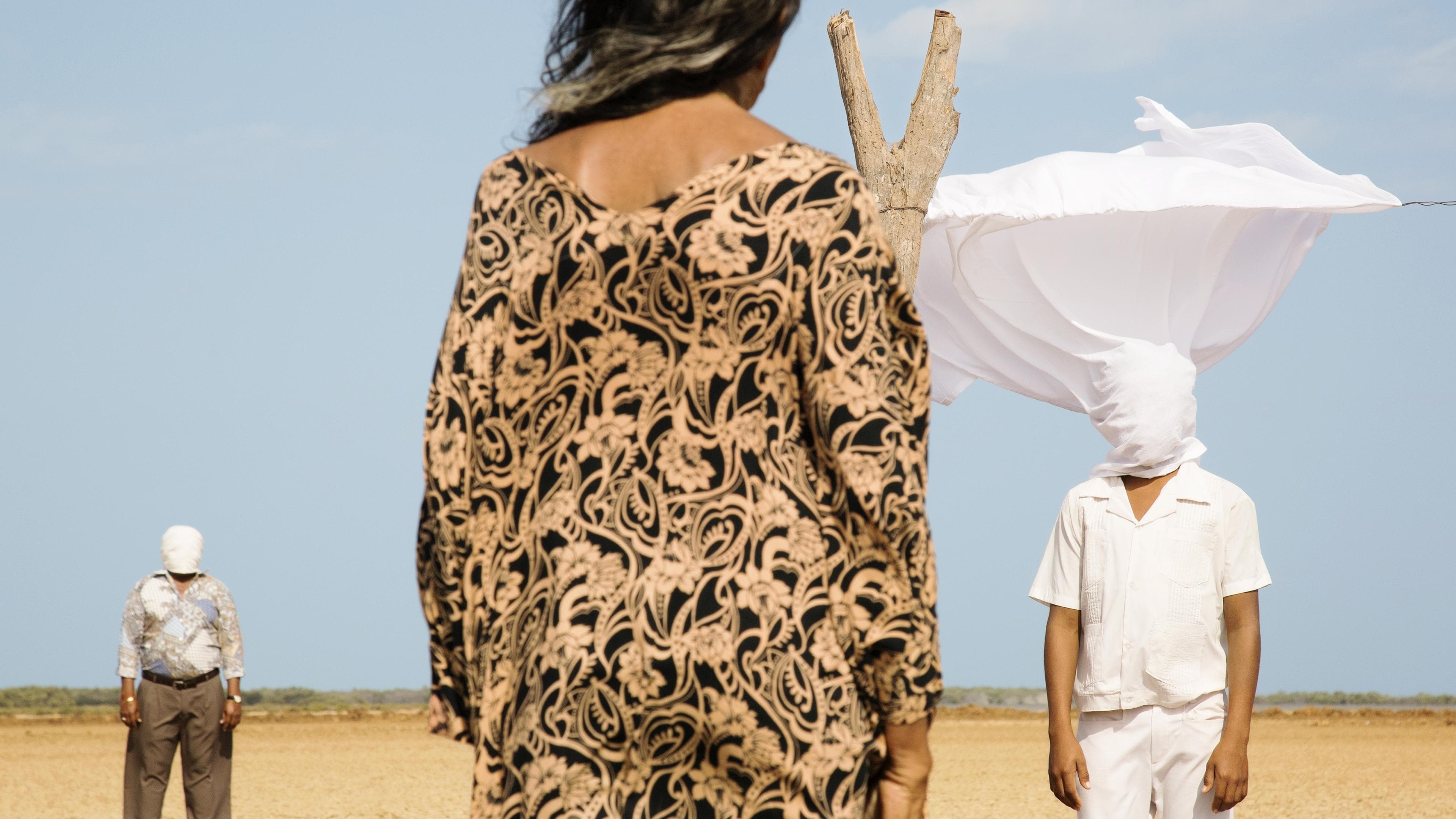 Păsări călătoare