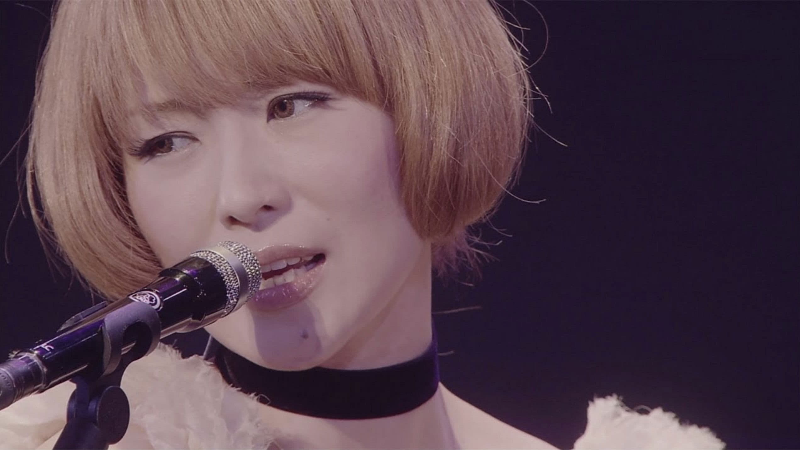 党大会 平成二十五年神山町大会