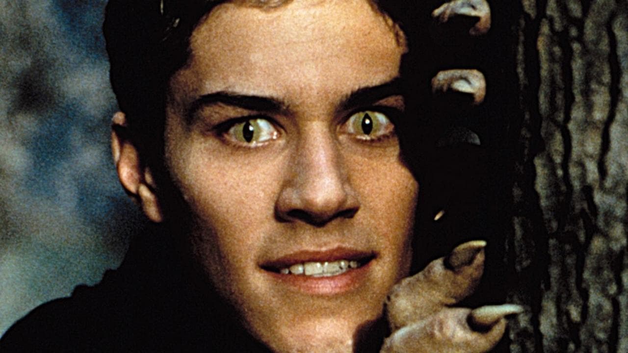 Mare lup prin campus