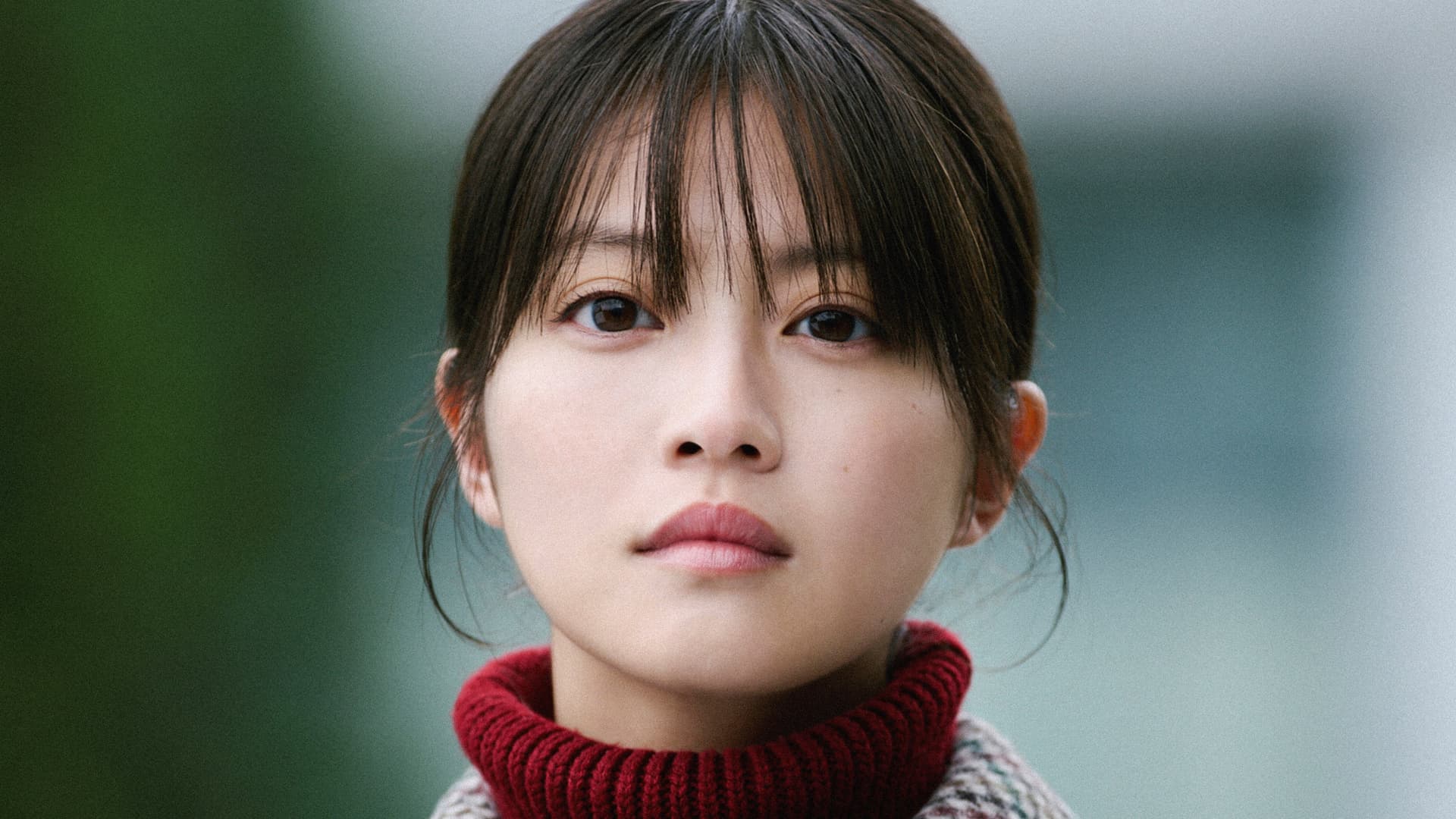 白鳥とコウモリ