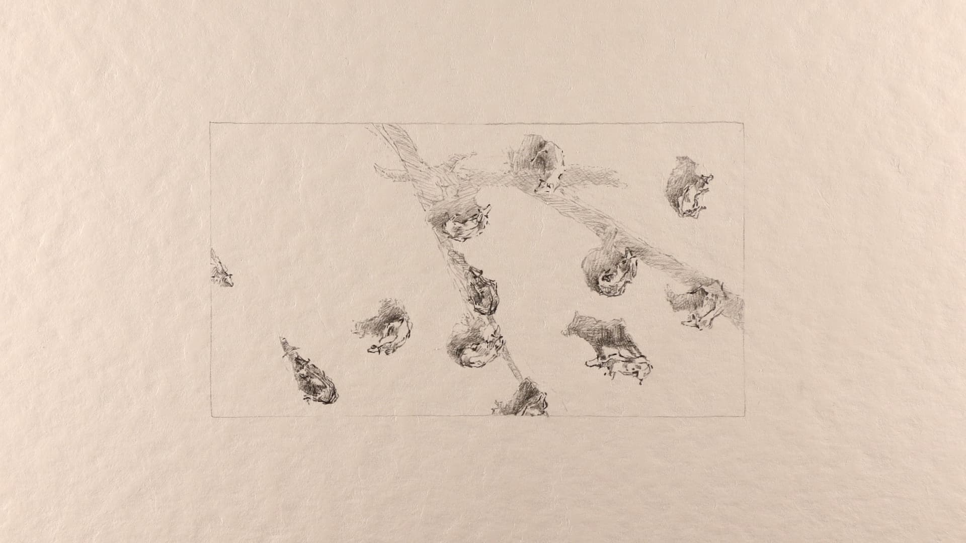 La bride - The dog's drama