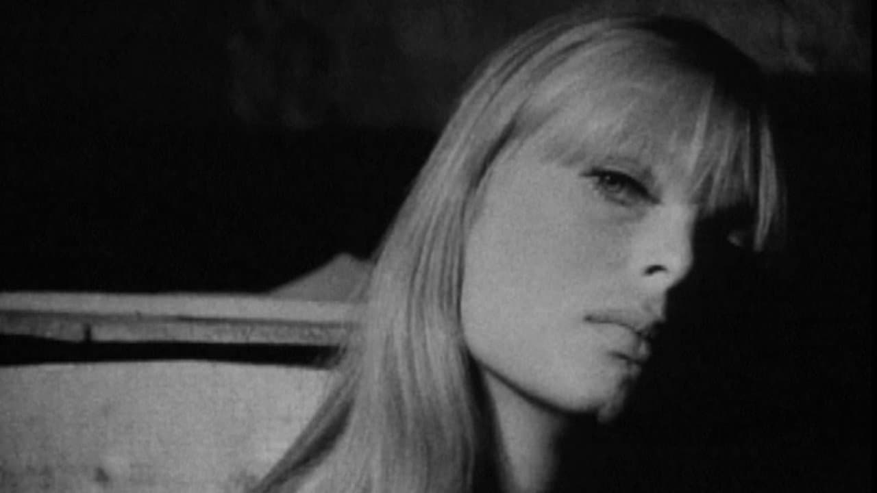 Screen Test [ST238]: Nico