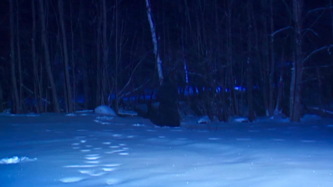 Hardcore Poisoned Eyes