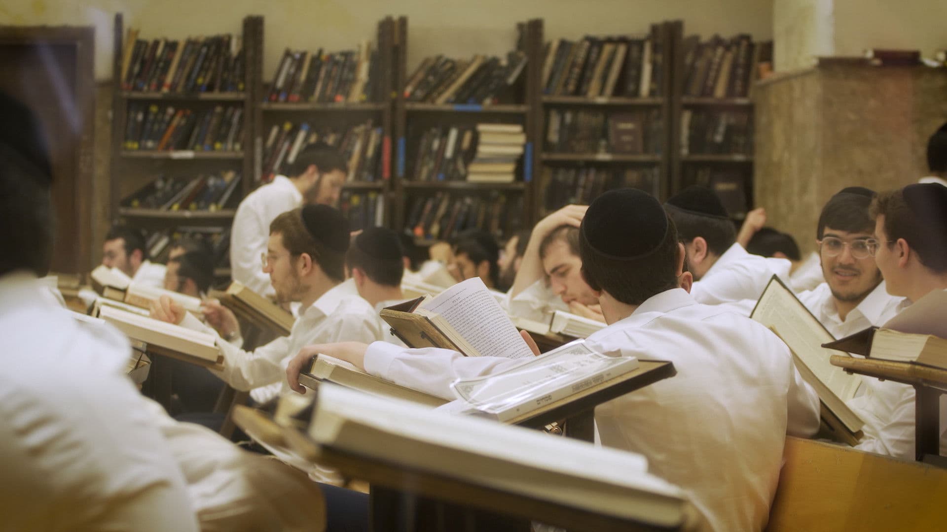 תורתו אומנותו