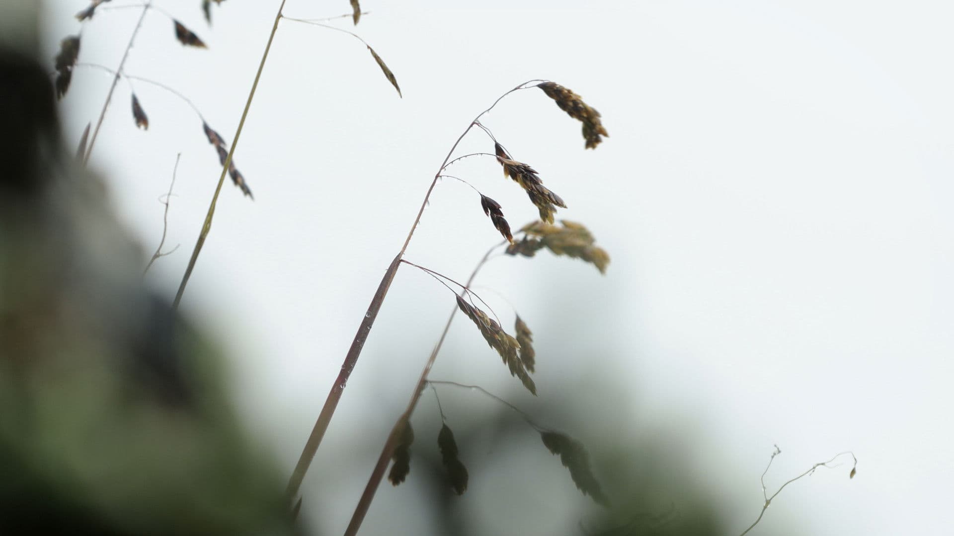 Después del Glaciar