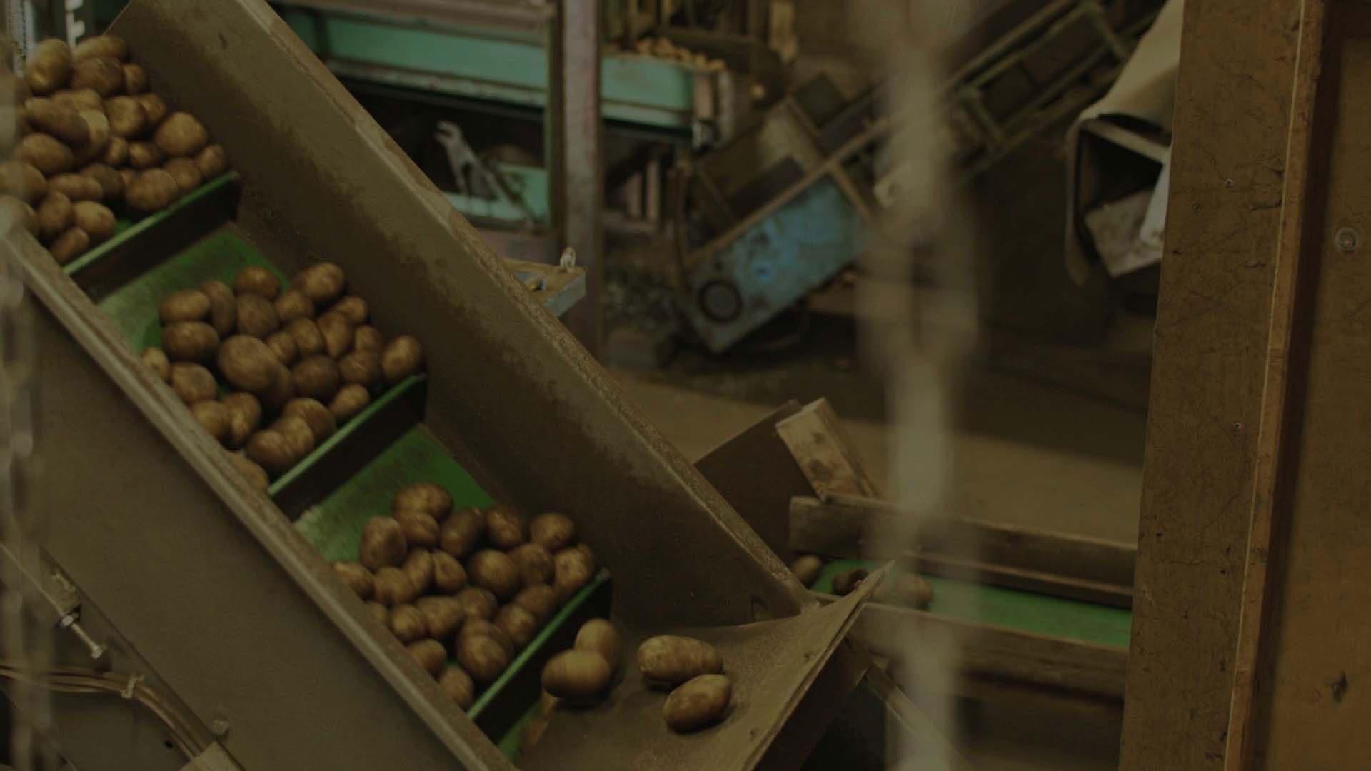 wie lange bleibt ihr noch?