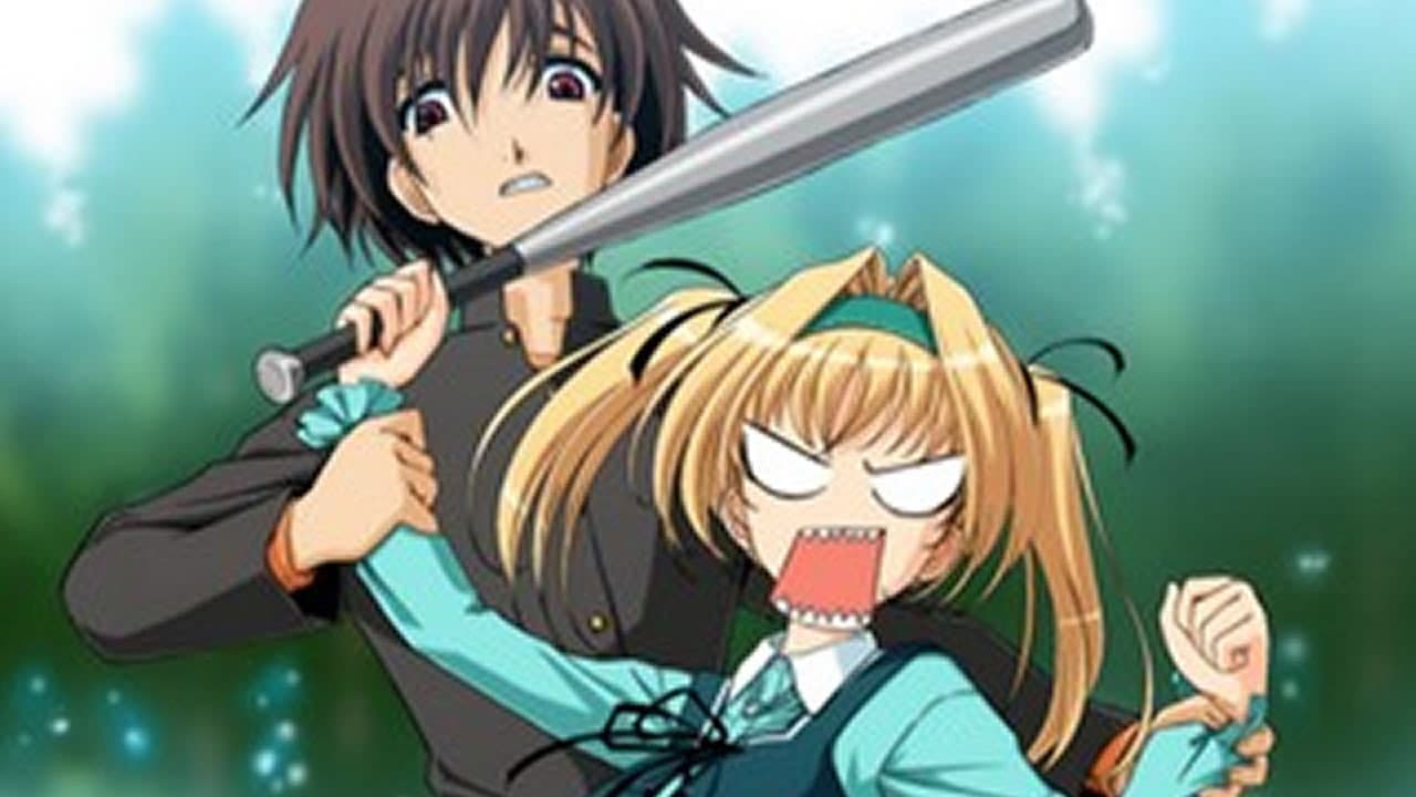 メイプル カラーズ