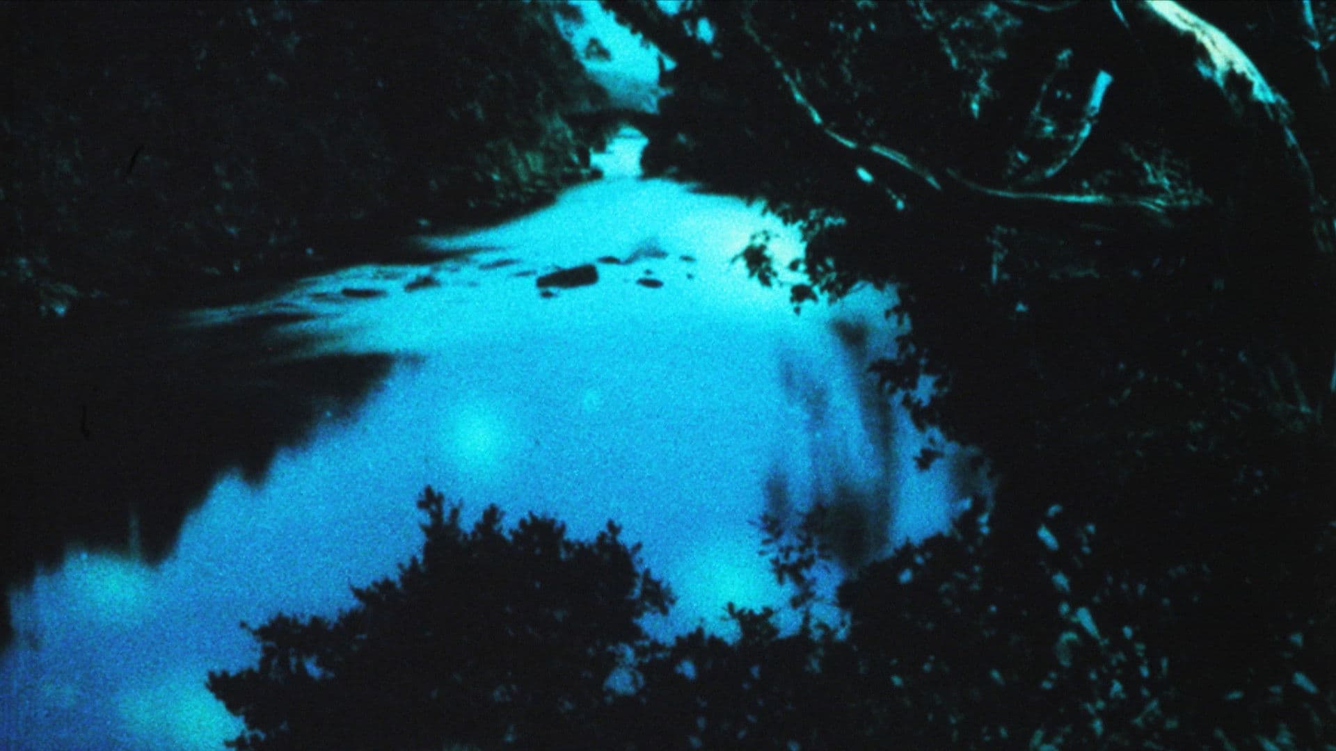 Of This Beguiling Membrane