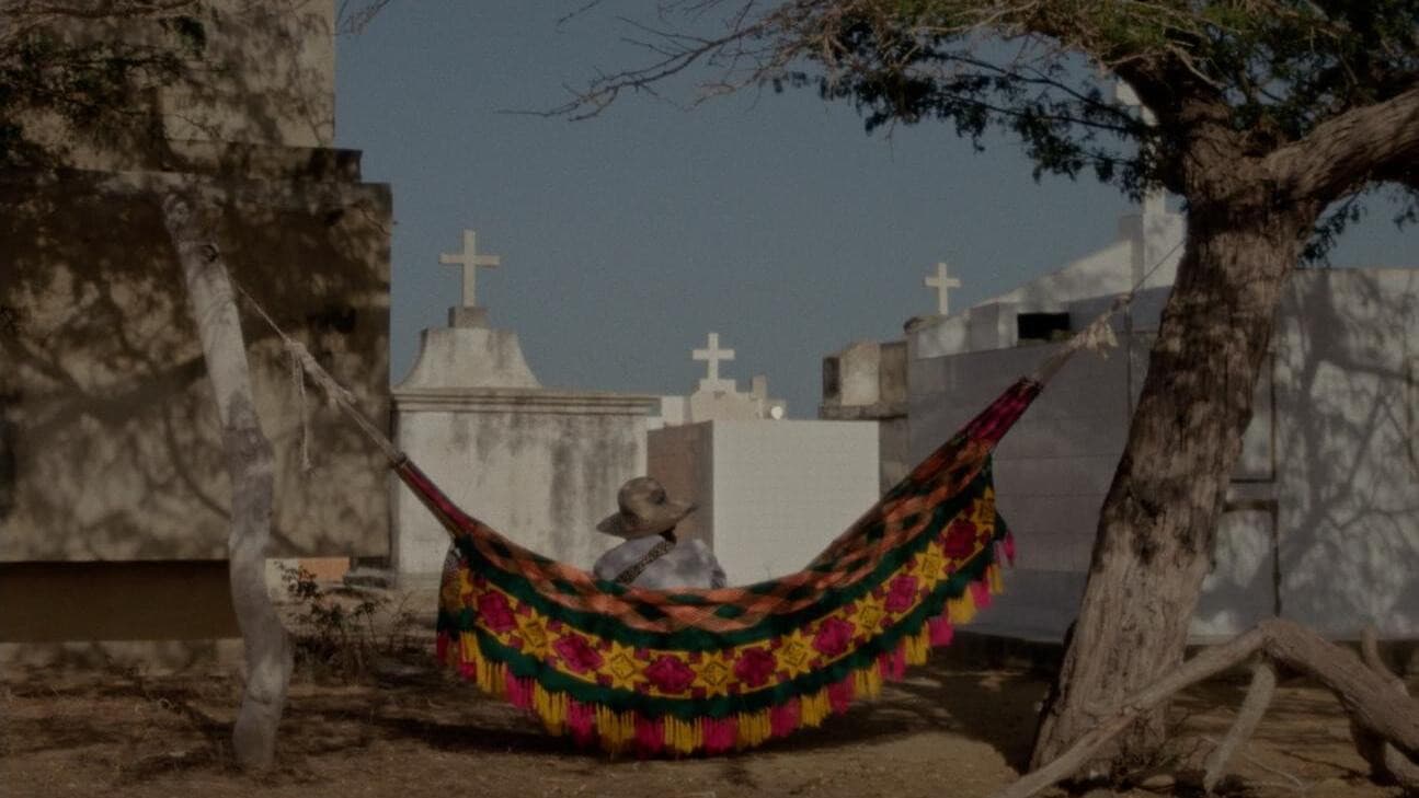 Los sueños viajan con el viento