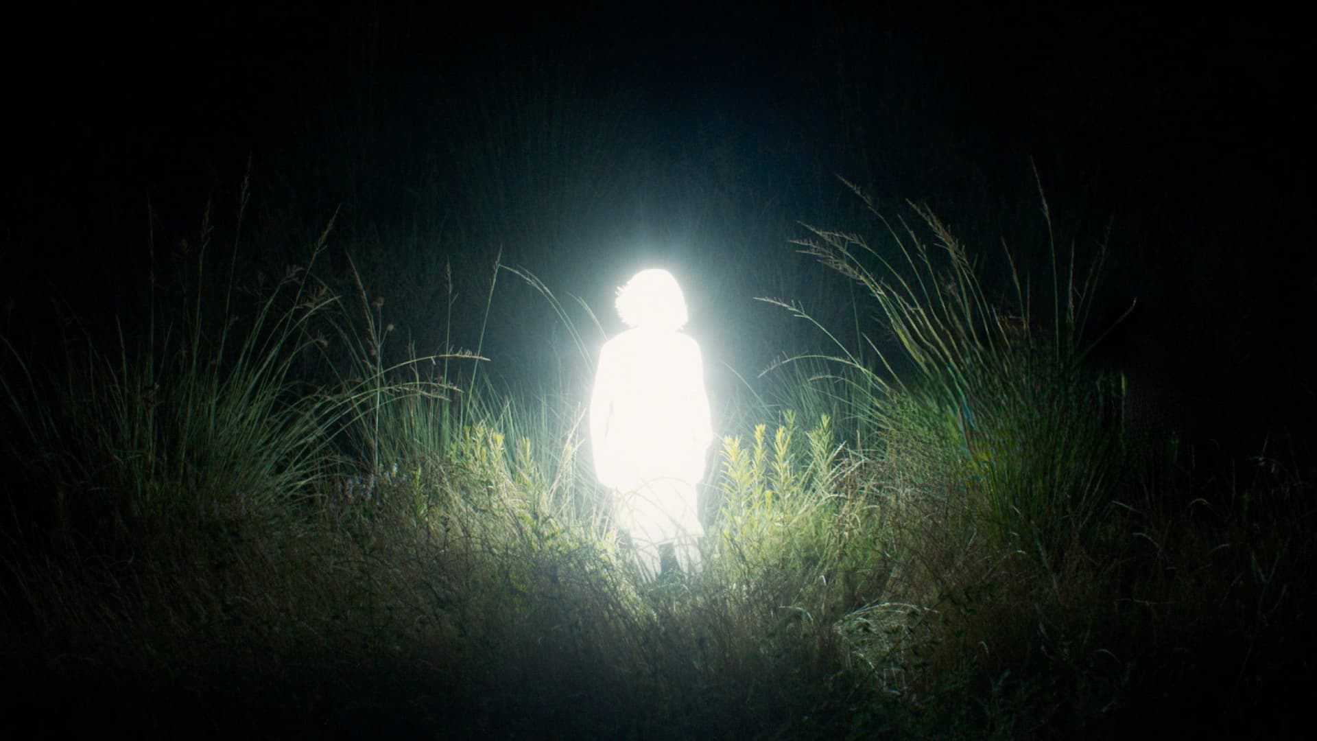 Crónicas de una santa errante