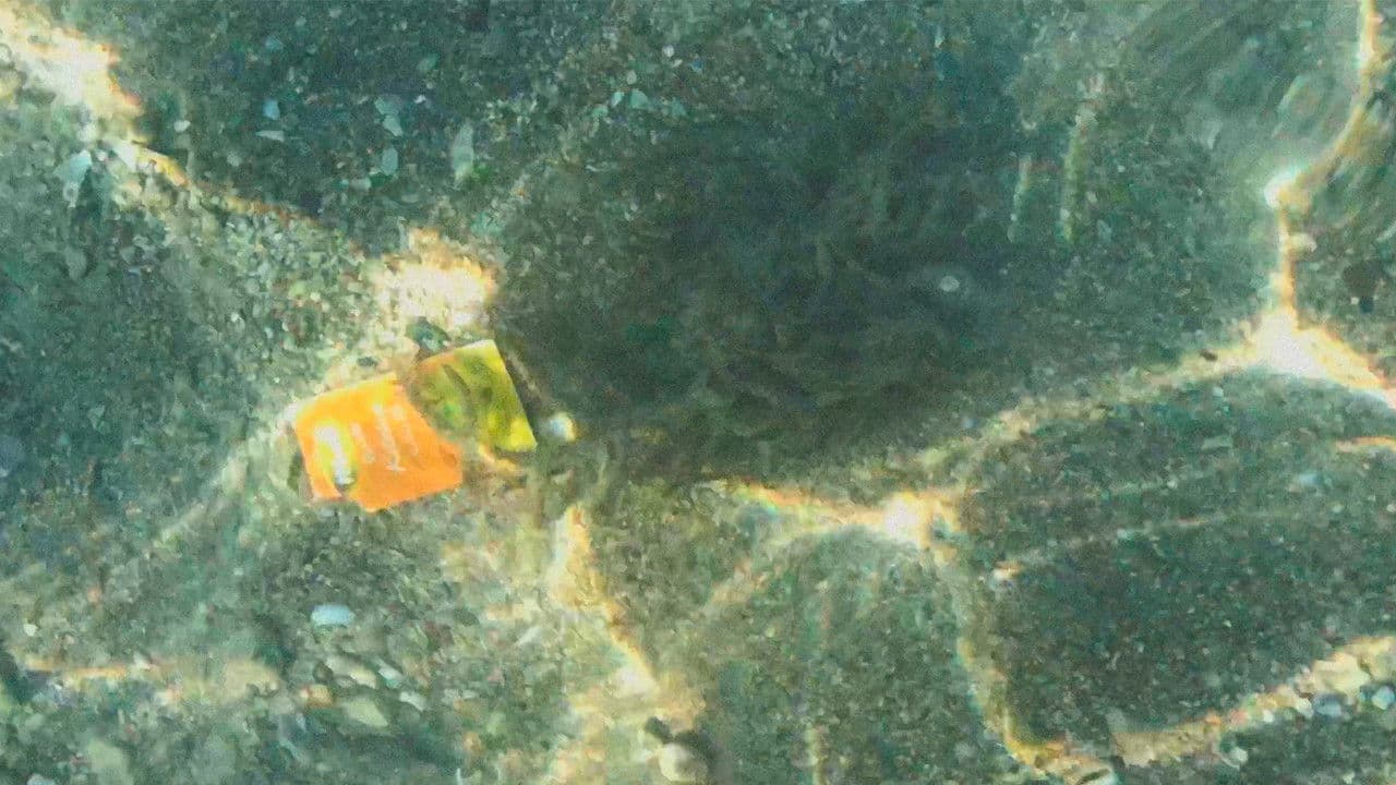 3 continentes, mesmo lixo.