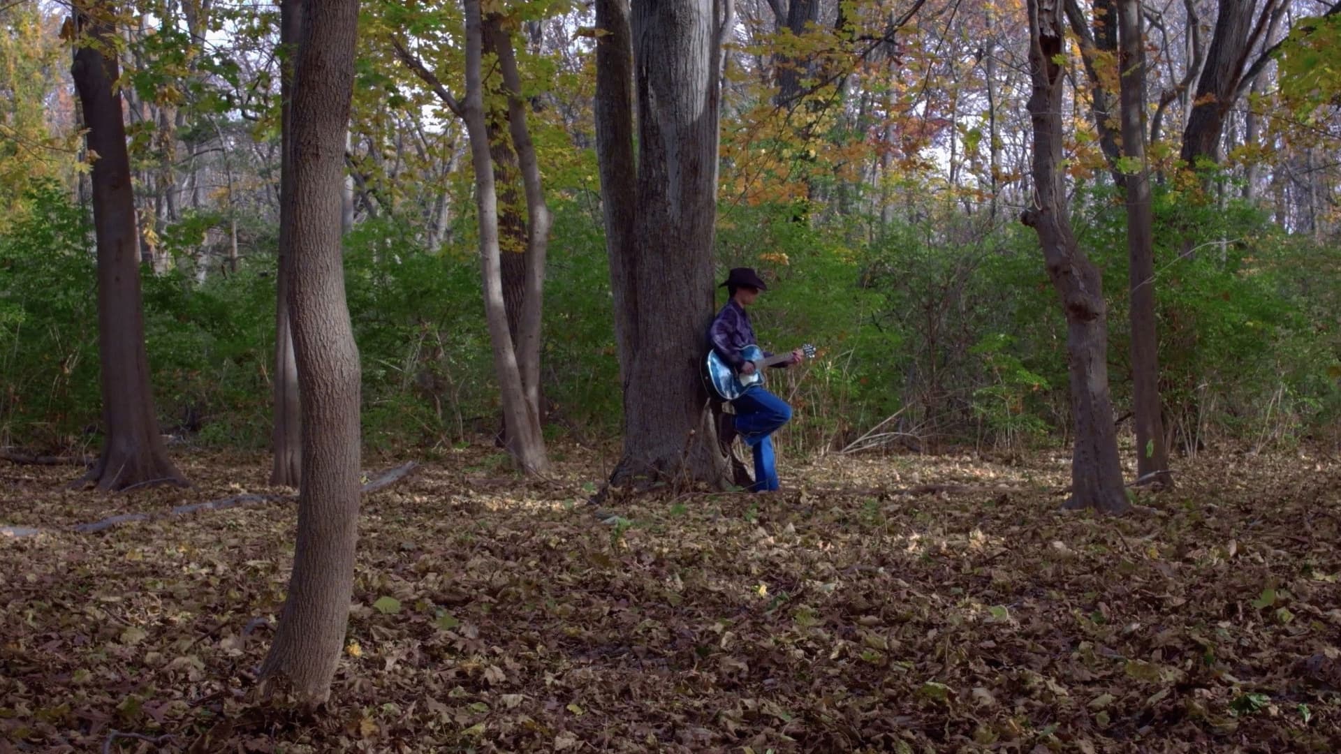 The Devil Went Down to Georgia