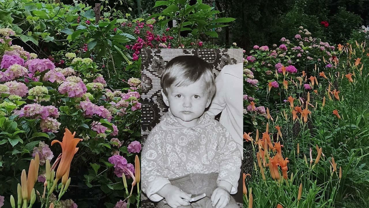 Мир і спокій