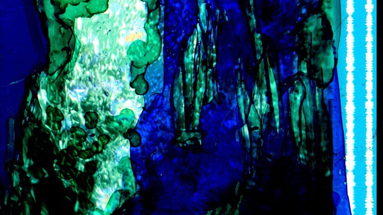 Jazz per un massacro