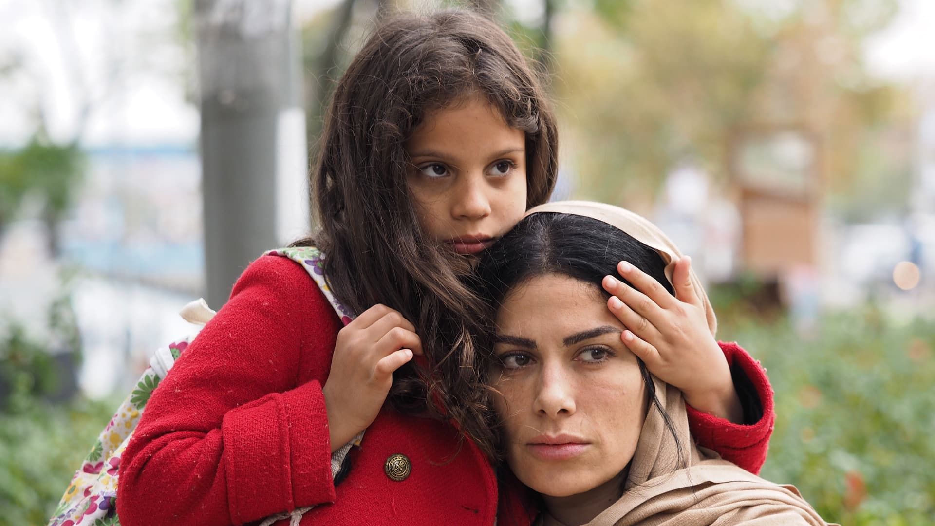 مسافر حلب إسطنبول