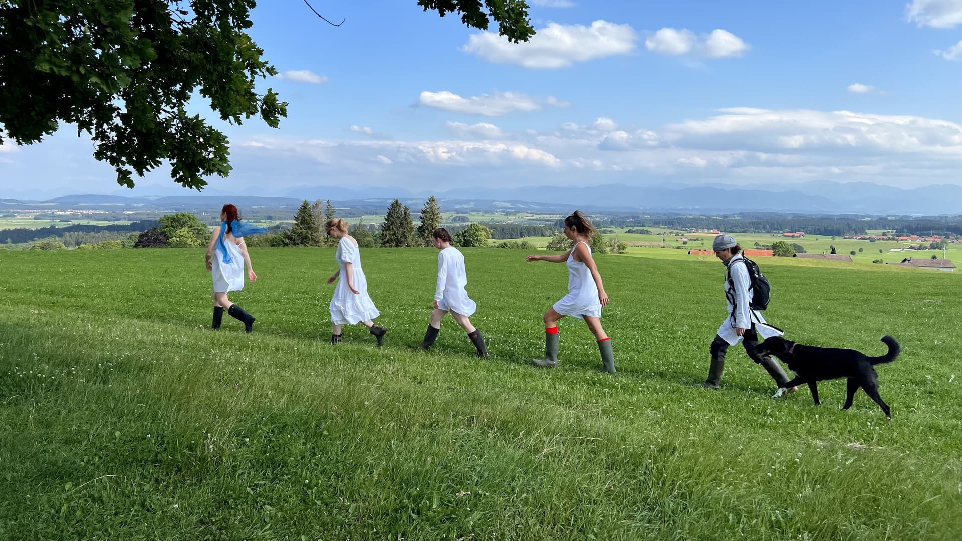 Überall gibt es ein Hausen