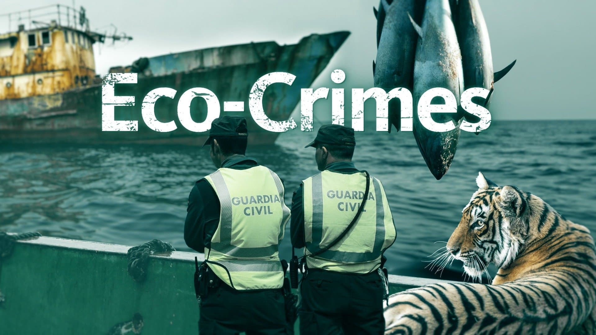 Eco-Crimes