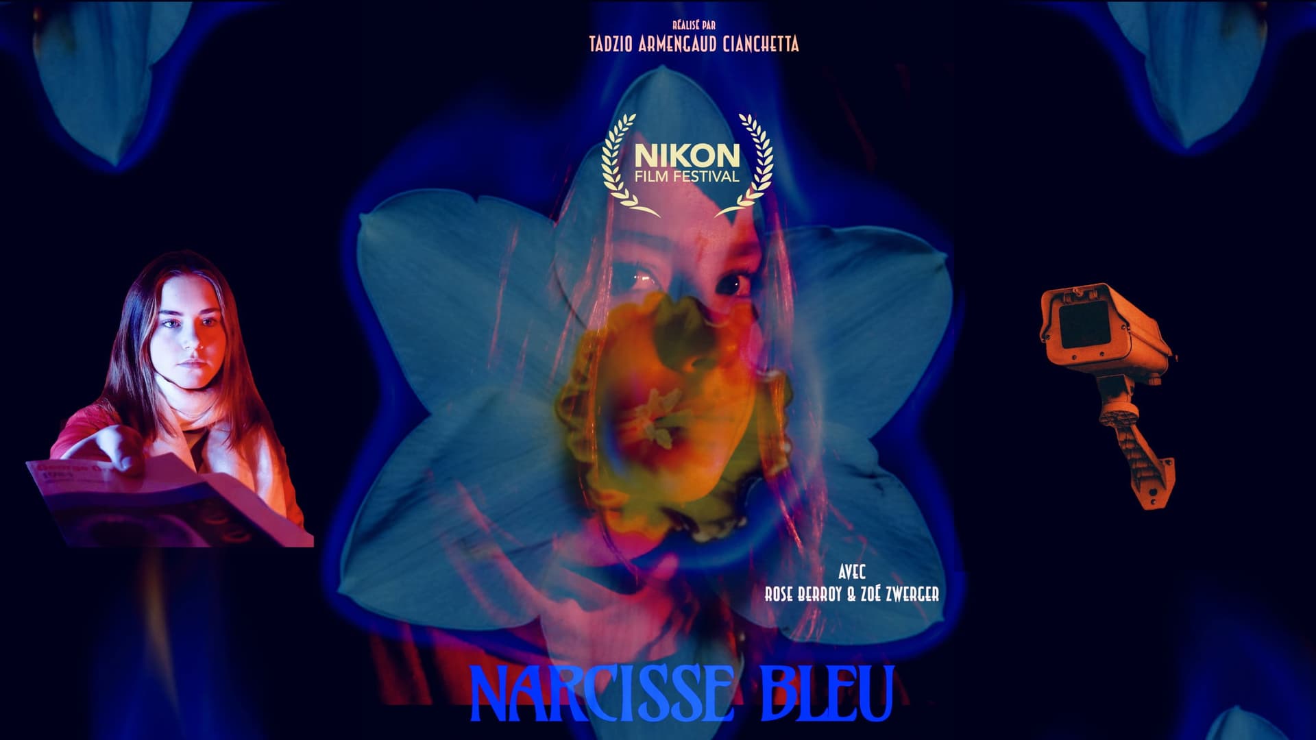Narcisse bleu